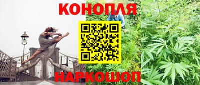 прущие грибы Азнакаево