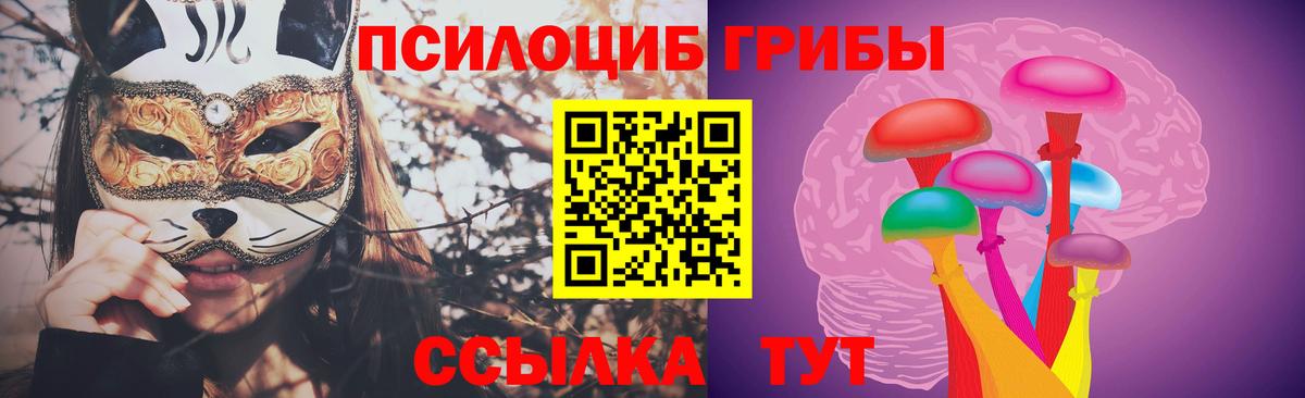 Псилоцибиновые грибы GOLDEN TEACHER Ачинск